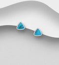 925 Sterling Silver Triangle Push-Back Earrings with Resin